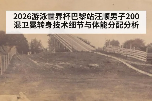 2026游泳世界杯巴黎站汪顺男子200混卫冕转身技术细节与体能分配分析